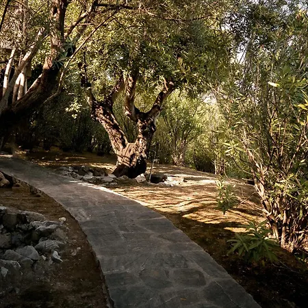 7,000 Sqm Luxurious Villa With Panoramic Sea Views Multiple Gardens & Two Pools Вилла
